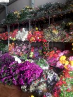 Cơ Sở Sản Xuất Hoa Giả , Hoa Lụa , Hoa Cây Lá Ngọc - Cành Vàng Giá Rẻ , Chất Lượng