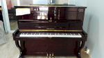 Đàn Piano Stenrich S-17