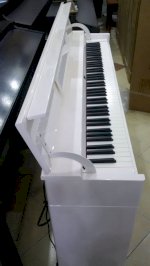 Đàn Piano Roland  Dp 90S Và Dp 90Se