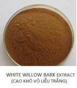 White Willow Bark Extract - Cao Khô Vỏ Liễu Trắng