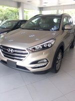 Hyundai Tucson 2.0 Ckd 2017