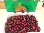 Các Loại Cherry Úc Và Những Điều Cần Biết