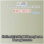 Đá Thạch Anh Chống Trơn 300X300 Lát Wc Kag-30516 Giá 135,000/ Thùng