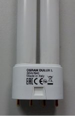 Bóng Đèn Compact Chữ U Osram Dulux L 36W/840 2G11