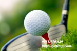 Bóng Golf Nổi Bóng Tập Golf Hai Lớp Bóng Golf 1 Lớp Bóng Golf Rẻ Bóng Golf Cũ Rẻ