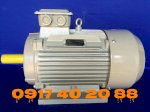 Motor Điện Australia Úc 75Kw (100Hp) –Tốc Độ 1400Rpm-4Pole
