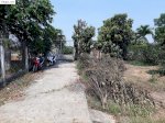 Tân Triều – Tấn Bình – Vĩnh Cửu : Bán 3800 M2 Đất Vườn Bưởi Da Xanh Tại Tân Triều …