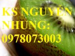 Cung Cấp Cây Giống Kiwi, Quả Kiwi Chất Lượng Cho Năng Suất Cao, Giao Cây Toàn Quốc