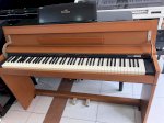 Đàn Piano Điện Roland Dp-900