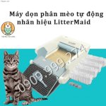 Cải Tiến Vượt Bậc Cho Việc Dọn Cứt Mèo Thủ Công