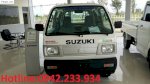 Xe Tải Suzuki Blind Van