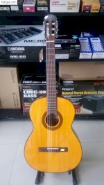 Đàn Guitar Cổ Điển Takamine Gc-3 Chính Hãng