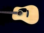Guitar Acoustic Morris W-15