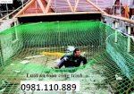 Lưới An Toàn Xây Dựng , Công Nghệ Hàn Quốc , Img Việt Nam
