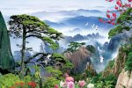 Tranh Phong Cảnh Núi Đồi Hp15