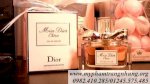 Miss Dior Cherie Eau De Parfum (100Ml)
