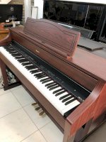 Đàn Piano Điện Roland Hp 507Gp