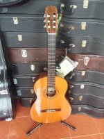 Guitar Matsouka M 50 Tem Xanh Nhật