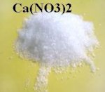 Mua Bán Ca(No3)2 – Calcium Nitrate Giá Rẻ Nhất Đà Nẵng