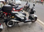 Honda Zoomer-X 110 2012 (Trắng Đen)