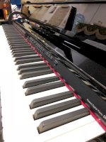 Đàn Piano Roland Dp 990R ( Màu Pe)