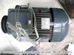 Sửa Motor Điện 3 Pha Uy Tín Call