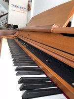 Đàn Piano Điện Roland Hp 207
