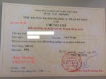 Học Nvsp Mầm Non, Bảo Mẫu, Quản Lí Mầm Non, Hiệu Trưởng Uy Tín, Chất Lượng Hiệu Quả Nhanh Tại Hcm