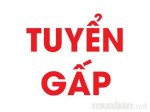 Tuyển Dụng Gấp Gv Đàn Organ - Vẽ - Nhịp Điệu Tp.hcm