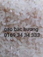 Gạo Bắc Hương Nam Định