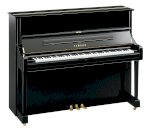 Đàn Piano Cơ Yamaha U1 Pe