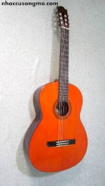 Guitar Classic Yamaha C-170A