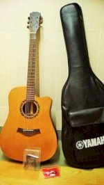 Pass Lại Đàn Guitar Yamaha
