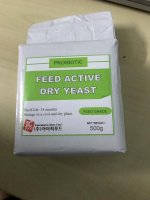 Men Đường Ruột Active Dry Yeast