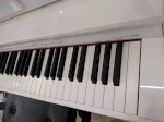 Piano Điện Roland Dp 90S Đen