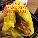 Cung Cấp Cây Giống Sầu Riêng Musang King Nhập Khẩu Malaysia, Cây Giống Sầu Riêng Cơm Vàng Hạt Lép