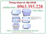 Thùng Nhựa, Hộp Nhựa Có Nắp 30 Lít Da30 Giá Rẻ