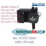 Máy Bơm Định Lượng Bluewhite C6125-P