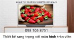 Siêu Giảm Giá:smart Tivi Oled Lg 55E8Pta 4K 55 Inch Hàng Chính Hãng Giá Tại Kho