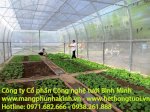 Vật Tư Nhà Kính: Giới Thiệu Và Bảng Báo Giá Mới Nhất Giới Thiệu Chi Tiết Và Bảng Báo Giá Vật Tư Nhà