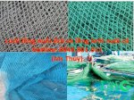 Lưới Cước Lồng Nuôi Cá Ô 1Cm-1,5Cm, Lưới Cũ Nhật Bền Trên 10 Năm, Lồng Lưới Nuôi Cá Tôm Ếch