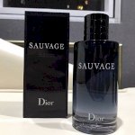Nước Hoa Dior Sauvage Eau De Toilette 100Ml