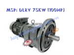 Motor Giảm Tốc Tải Nặng Dlrv 100Hp/75Kw