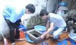 Thau Rửa Bể Nước Tại Trịnh Hoài Đức,  Q. Đống Đa | Rua Ve Sinh Be Nuoc