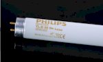 Bóng Đèn So Màu Philips Master Tl-D De Luxe 36W/965 1.2M