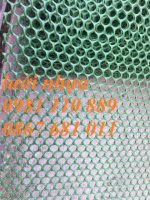 Lưới Nhựa Cứng Làm Trang Trại Nuôi Vịt Cỏ