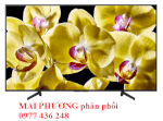 Tổng Kho Phân Phối Tivi Sony 75 Inch 75X8500G,75X8000G Model 2019 Giá Rẻ Tại Hn