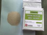 Feed Active Dry Yeast
