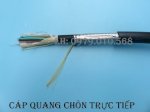 Cáp Quang Chôn Trực Tiếp 24Fo, 24 Core, 24 Sợi - Cable Phi Kim Loại