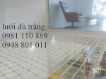 Lưới Thông Tầng ,Giếng Trời Dù Trắng